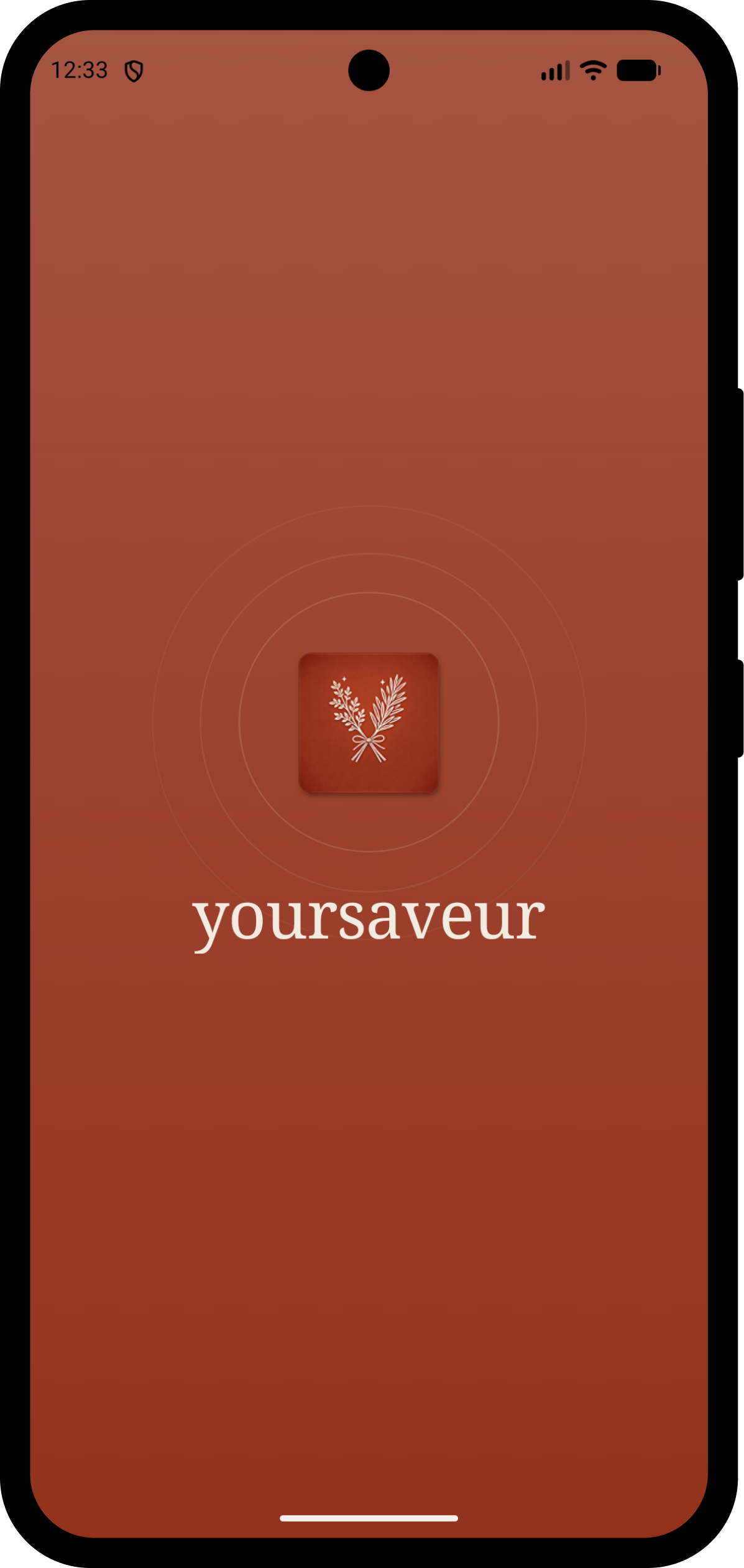Saveur splash screen
